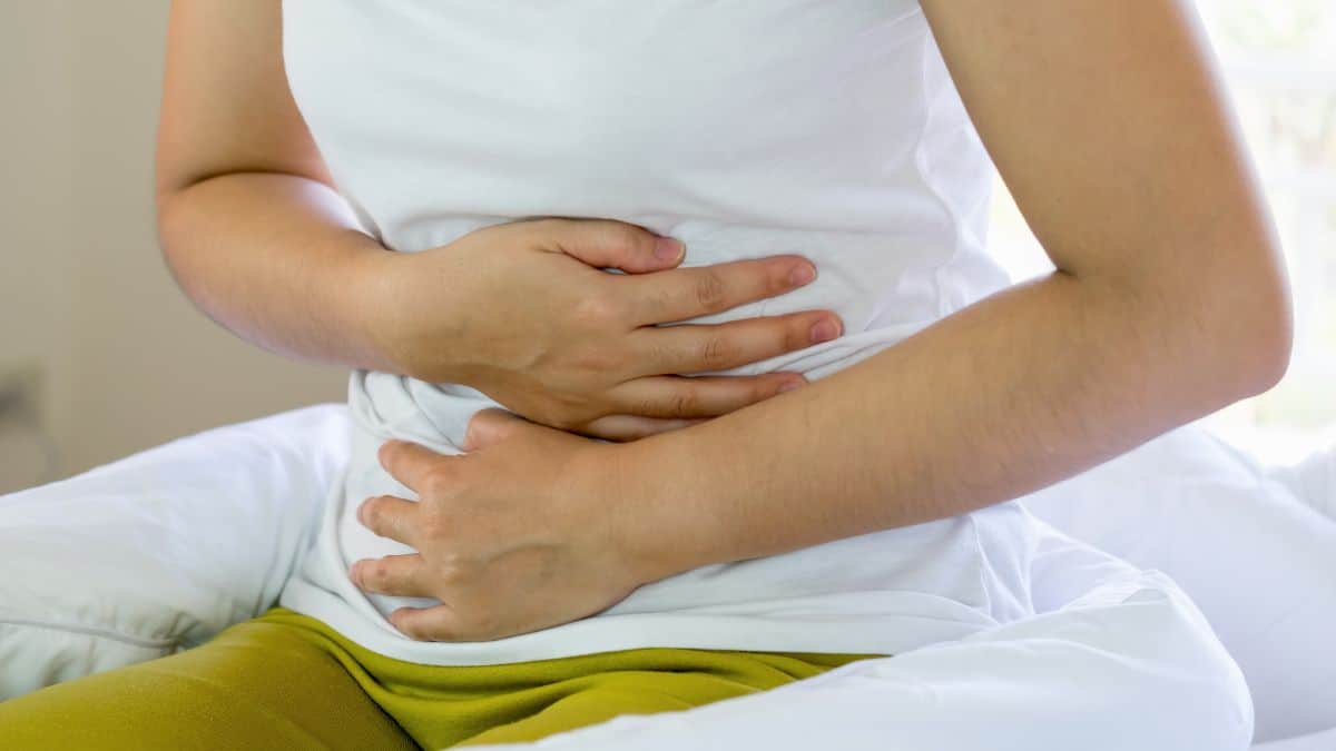 intestino saudável