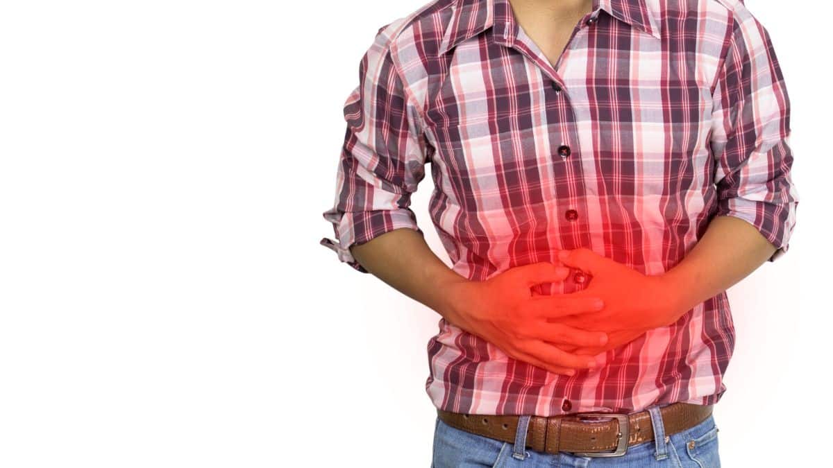 flora intestinal