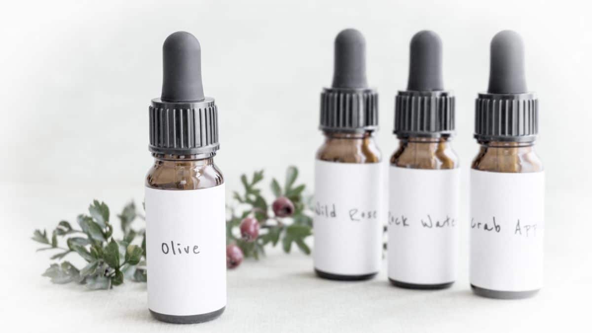 como funciona a homeopatia