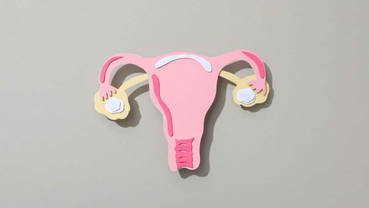 desequilíbrio hormonal feminino sintomas